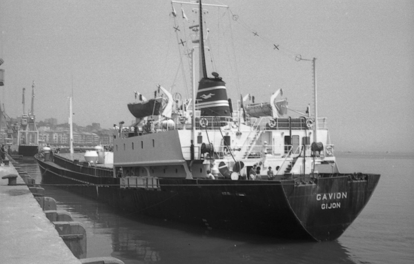 Gavion por T. Diedrich Gavion por T. Diedrich